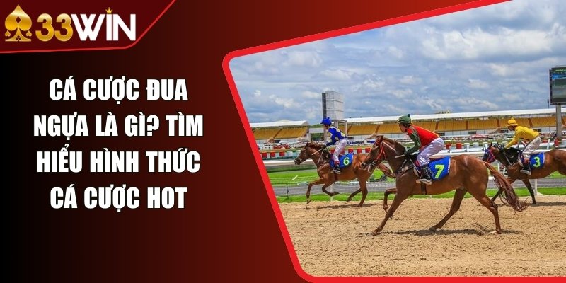 Cá Cược Đua Ngựa Là Gì? Tìm Hiểu Hình Thức Cá Cược Hot
