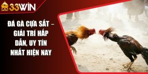 Đá Gà Cựa Sắt – Giải Trí Hấp Dẫn, Uy Tín Nhất Hiện Nay