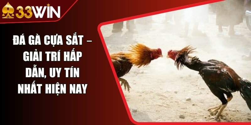 Đá Gà Cựa Sắt – Giải Trí Hấp Dẫn, Uy Tín Nhất Hiện Nay