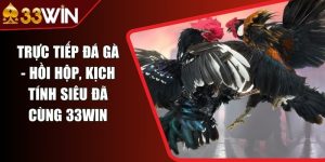 Trực Tiếp Đá Gà - Hồi Hộp, Kịch Tính Siêu Đã Cùng 33WIN