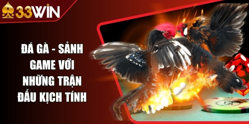 Đá gà - Sảnh game với những trận đấu kịch tính
